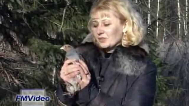 081104 Куропатки смотреть онлайн