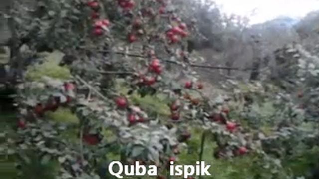 Куба р испик смотреть онлайн