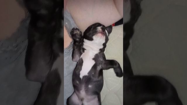 устал пацан, спит аж шум стоит смотреть онлайн