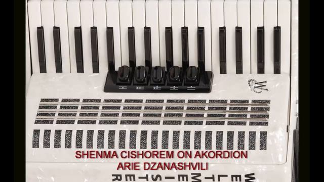 SHENMA CISHOREM ON AKORDION ARIE DZANASHVILI смотреть онлайн