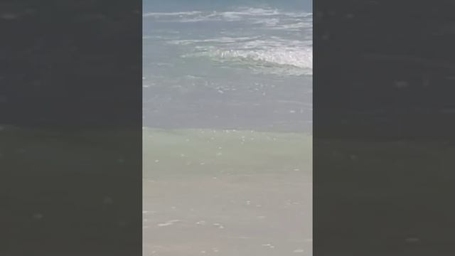 Шарм эль Шейх. Морское путешествие. Часть 2. Белый остров. смотреть онлайн