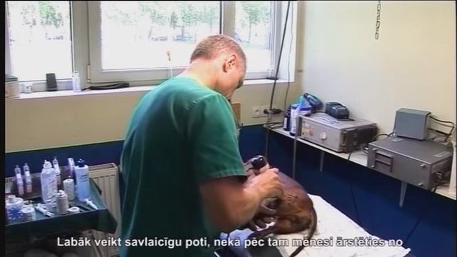 Video, Ветеринарная клиника смотреть онлайн