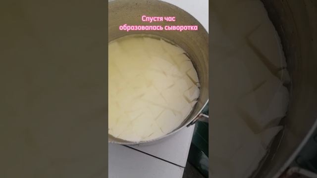 Делаю домашний сыр. Волшебный ингридиент - ПЕПСИН смотреть онлайн