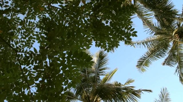 Квантовый переход Три мира с 2008 по 2033 год смотреть онлайн