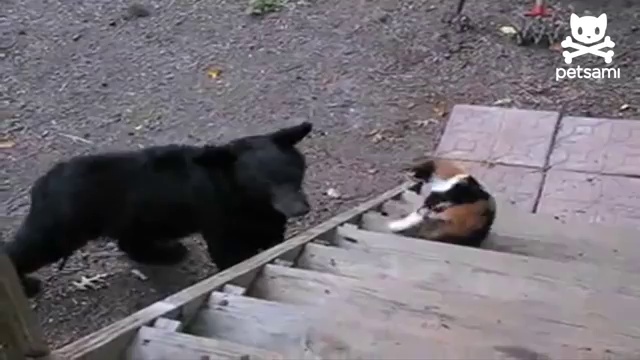 А по сопатке? смотреть онлайн