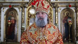 Проповедь епископа Питирима (Творогова) в день праздника Преполовения Пятидесятницы. 29.05.24.