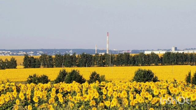 Дневник приёмной мамы/Обзор. смотреть онлайн