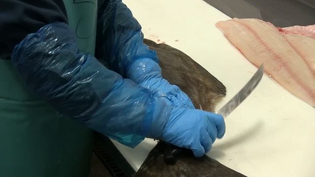 How to Fillet Halibut - a Fishmonger's Tutorial смотреть онлайн