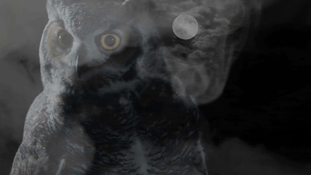 Amaniel - Om Mani Padme Hum