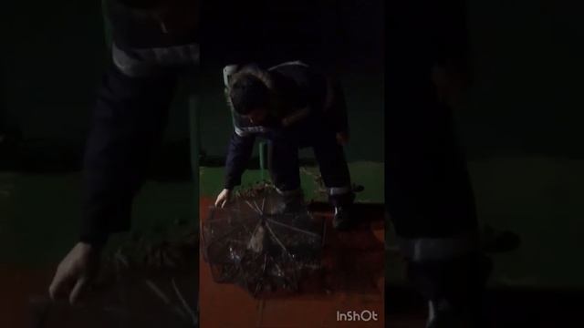 Рыбалка. Черноморская креветка. Способ ловли. Приманка. смотреть онлайн
