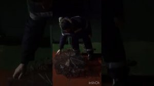 Рыбалка. Черноморская креветка. Способ ловли. Приманка.