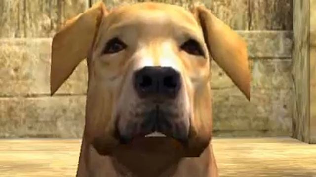 The Movies Game - Wow Thats Quakers 6 смотреть онлайн