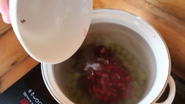 Зоопарк и Дикие Животные