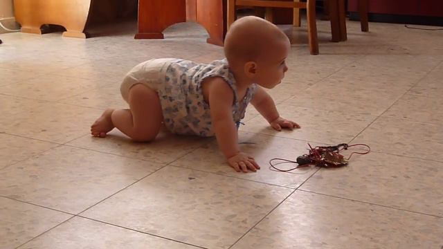 Элиан качает пресс