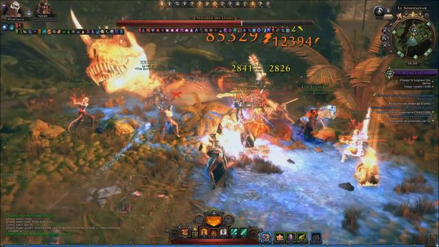 Neverwinter - Le Magicien Manipulateur #39 : Le Seigneur des Épines смотреть онлайн