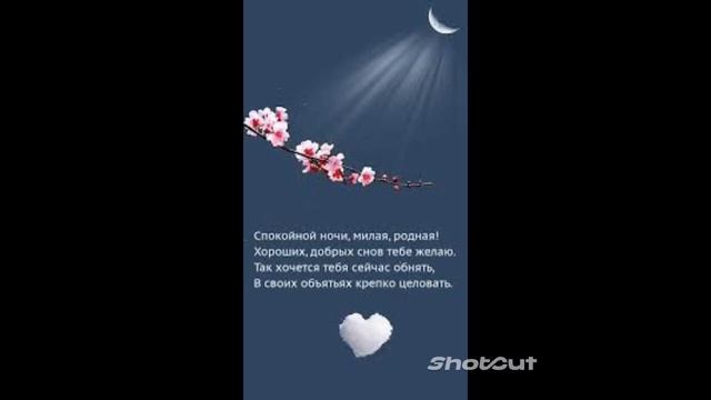 Спокойной ночи, любимая моя! смотреть онлайн