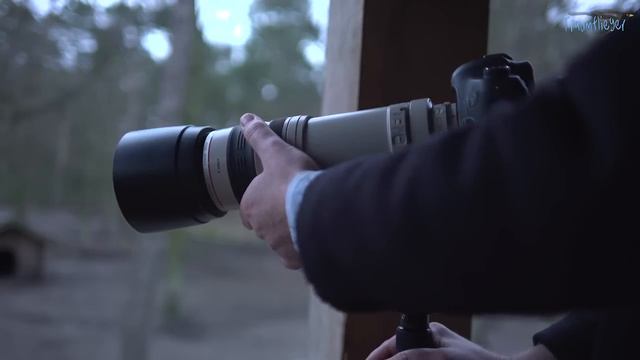 Canon EF 100 - 400mm Mark II im Test (Teil 1) смотреть онлайн