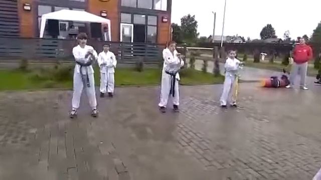 Тхэквондо вымпел смотреть онлайн