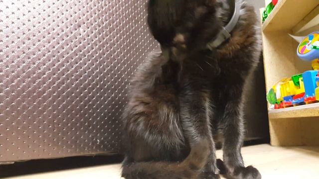 СЕКРЕТ СЛАДКИХ СНОВ РАСКРЫТ! Сказка на ночь от Августины. смотреть онлайн