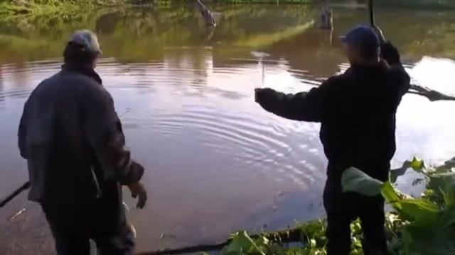Хороший клев карася смотреть онлайн