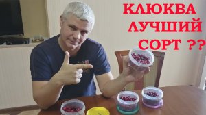 Дегустация крупноплодной садовой клюквы!!!