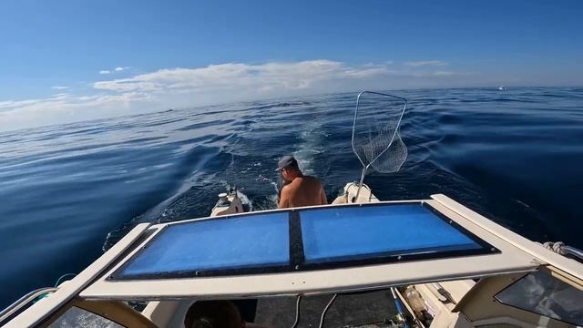Ловим Треску на банке Зубр смотреть онлайн