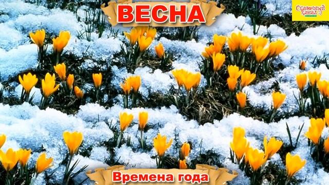 Изучаем времена года. Видео для малышей. смотреть онлайн