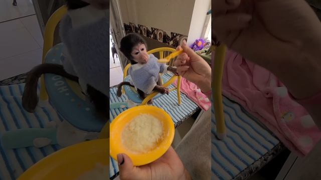 Архив, Ники 4 месяца ? это было недавно ....