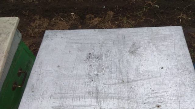 В друг расплод в семьях? Убираю утепление!!! смотреть онлайн