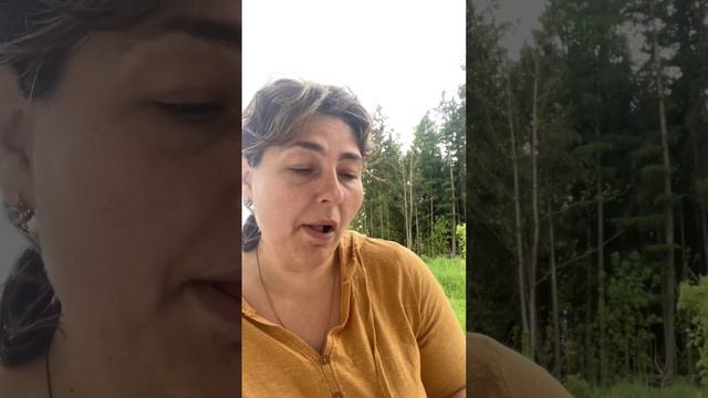 Что жуёт фитотерапевт? Травница и ежевика смотреть онлайн