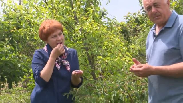 Что делать если весна с сюрпризами смотреть онлайн