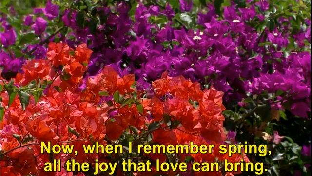 Учи английский по песням. Выпуск 1 (The shadow of your smile) смотреть онлайн