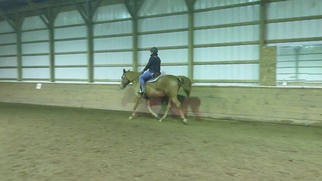 FNT Farm November Ranch смотреть онлайн