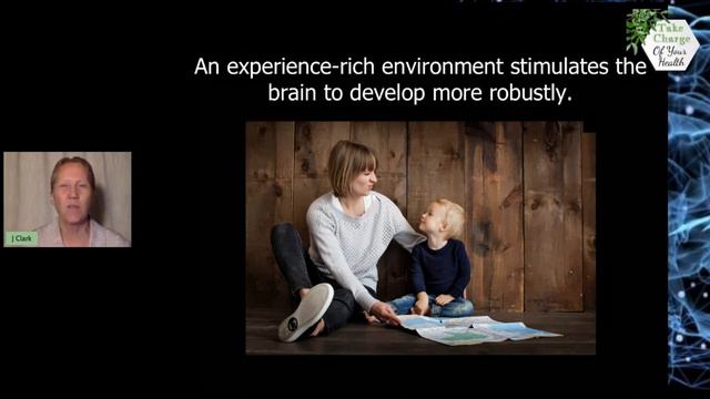 Julie Clark Neuroplasticity - The Brain That Is Changing Itself смотреть онлайн