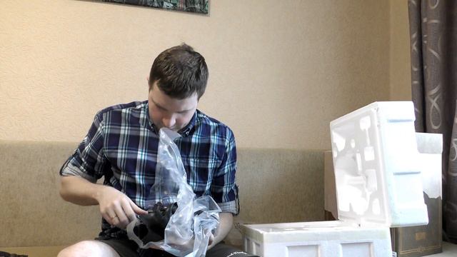 Статуэтка World Of Warcraft: Arthas (25 см). Легендарная распаковка. смотреть онлайн