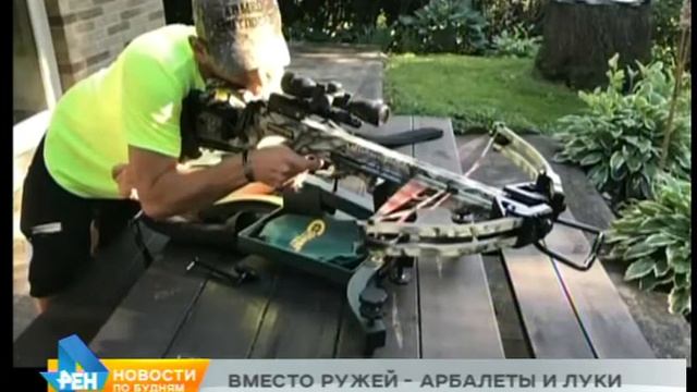 Охотиться с луком и арбалетом разрешат в регионе смотреть онлайн