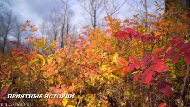 Получили из армии тело сына в цинковом гробу с пометкой "не вскрывать", вскрыли - обомлели... смотреть онлайн