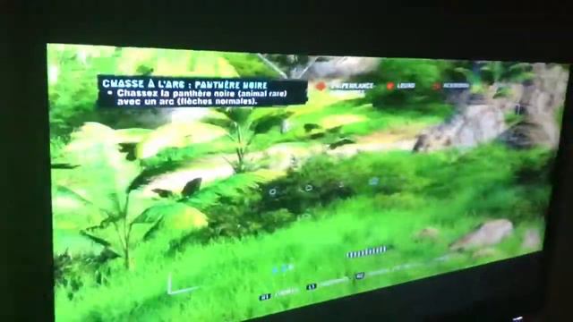Chasse a la panthère noire : A l'arc sur FAR CRY 3 смотреть онлайн