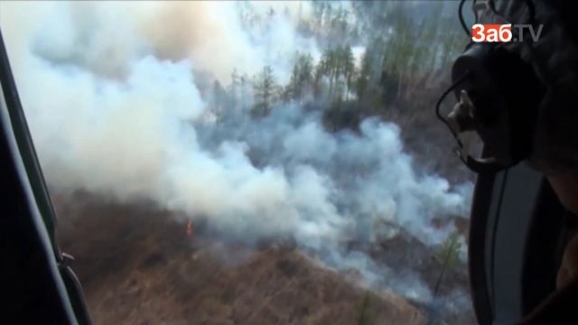 Глава Госслесслужбы не сказал, сколько выделено средств на тушение пожаров смотреть онлайн