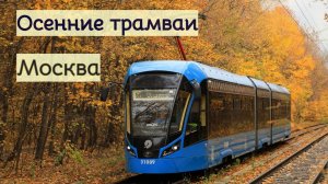 Трамвай Москвы Осень 2023г