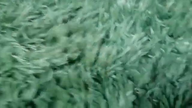 Меховой плед - Покрывало мех 220х240 смотреть онлайн