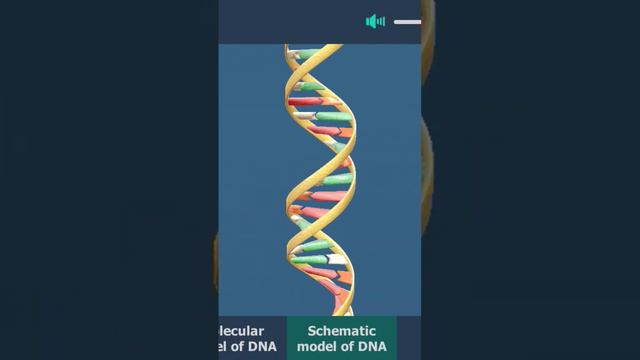 DNA смотреть онлайн