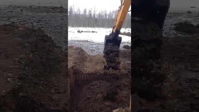 низинный торф,эластичный, форму держит смотреть онлайн