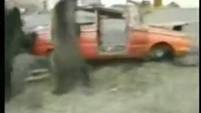 Видеоприкол как медведи раскурочивают Запорожец смотреть онлайн