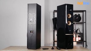 Мультимедийная акустика F&D T-88x