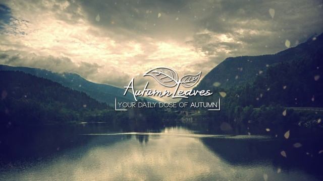 Diversity of Silence - Emptiness смотреть онлайн