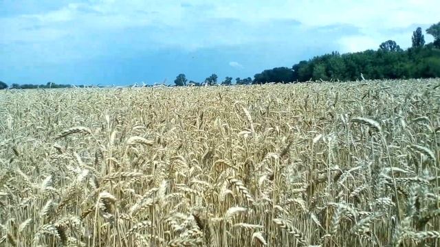 Христианские стихи с глубоким смыслом. смотреть онлайн