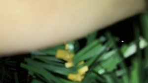 Как удалить ржавчину с контактов без особых затрат