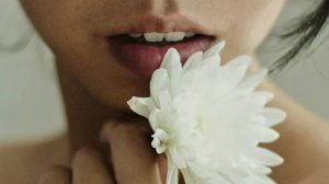 У хризантем пахнут листья...