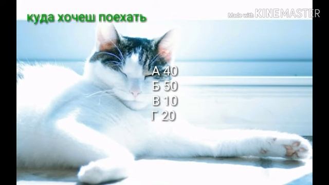 Тест для девочек какая ты долфи. смотреть онлайн